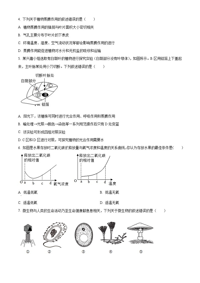 2024年山东省滨州市滨城区中考二模生物试题(原卷版+解析版)02