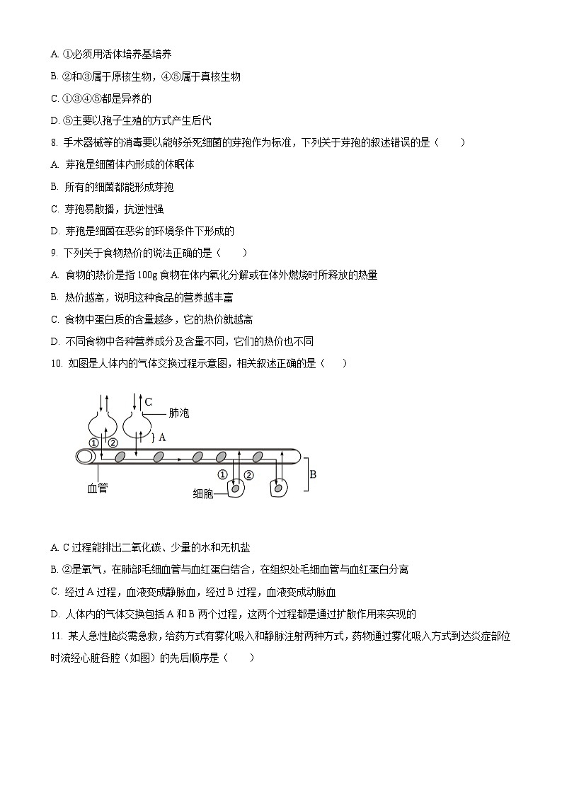 2024年山东省滨州市滨城区中考二模生物试题(原卷版+解析版)03