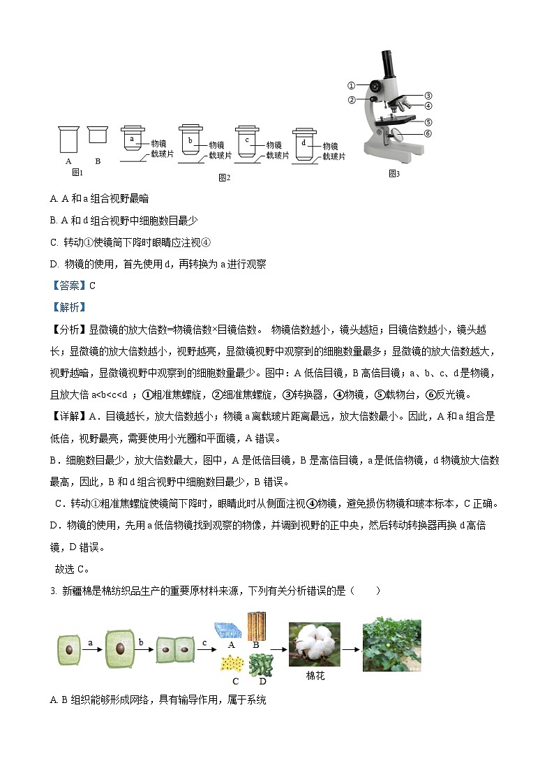 2024年山东省滨州市滨城区中考二模生物试题(原卷版+解析版)02