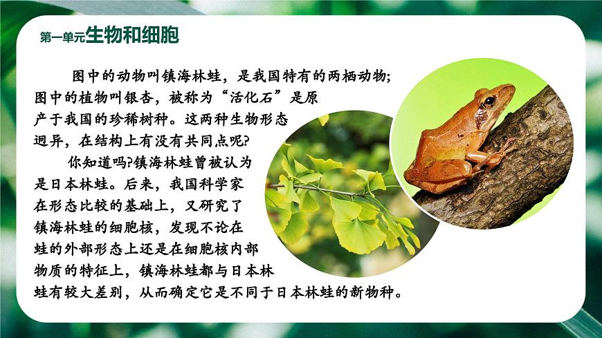 新人教版(2024)生物七年級上冊--1.1.1 觀察周邊環(huán)境中的生物 (課件)第1頁