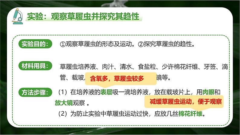 新人教版(2024)生物七年级上册--1.3.4 单细胞生物(课件)05