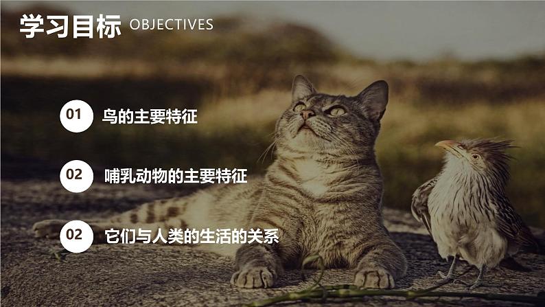 新人教版(2024)生物七年级上册--2.2.2脊椎动物(鸟类和哺乳动物)(课件)02