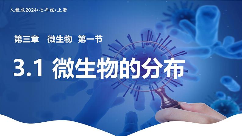 新人教版(2024)生物七年级上册--2.3.1微生物的分布(课件)01