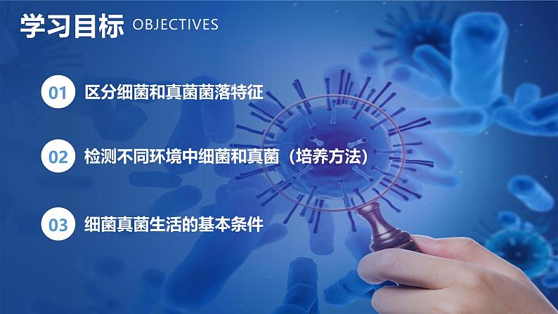 新人教版(2024)生物七年级上册--2.3.1微生物的分布(课件)02