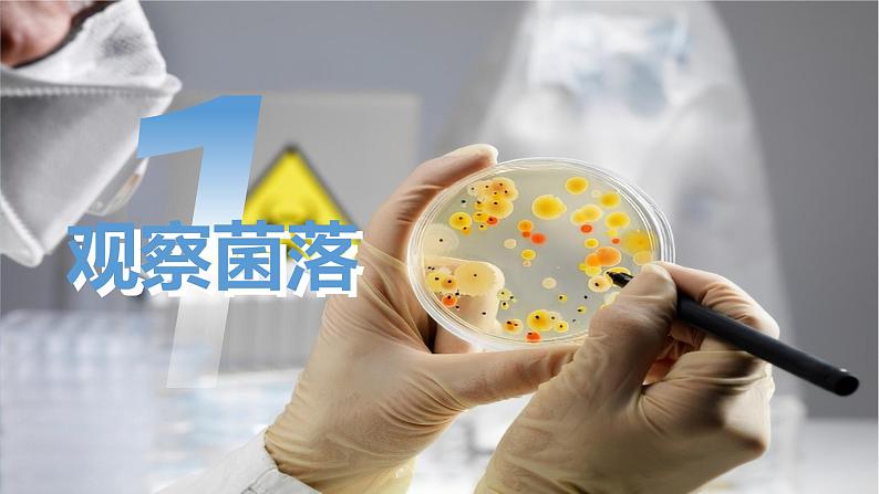 新人教版(2024)生物七年级上册--2.3.1微生物的分布(课件)05