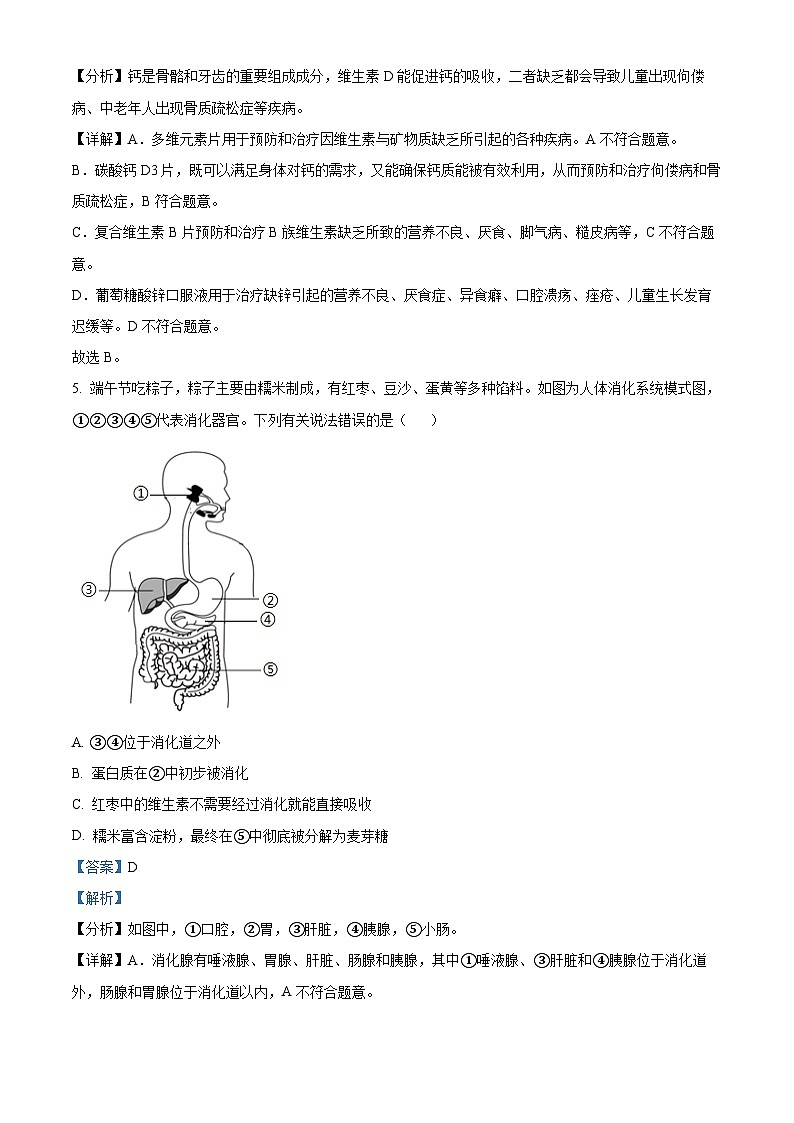 湖南省娄底市涟源市2023-2024学年七年级下学期期末生物学试题(解析版)03