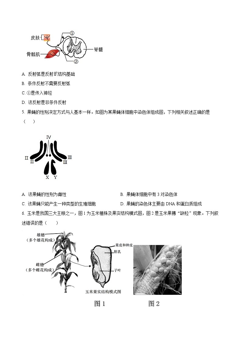 2024年江苏省徐州市新沂市八年级中考二模生物学试题(原卷版)02