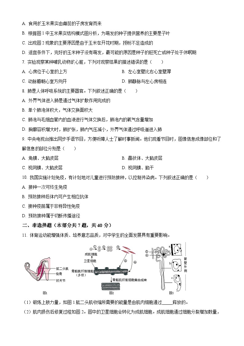 2024年江苏省徐州市新沂市八年级中考二模生物学试题(原卷版)03