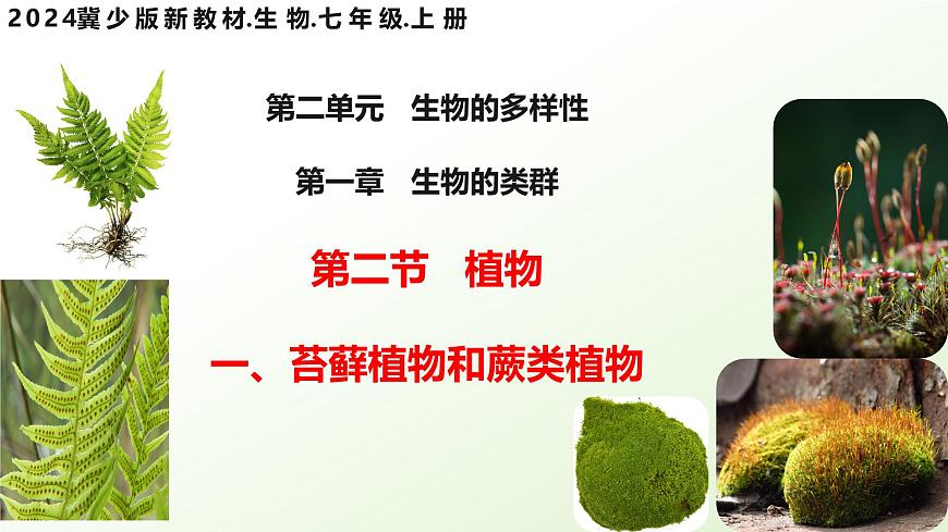 【核心素養(yǎng)】晉少版（2024）生物七年級(jí)上冊(cè) 2.1.2  植物（一、苔蘚植物和蕨類植物） 同步課件第1頁