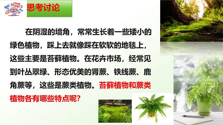 【核心素養(yǎng)】晉少版（2024）生物七年級(jí)上冊(cè) 2.1.2  植物（一、苔蘚植物和蕨類植物） 同步課件第2頁