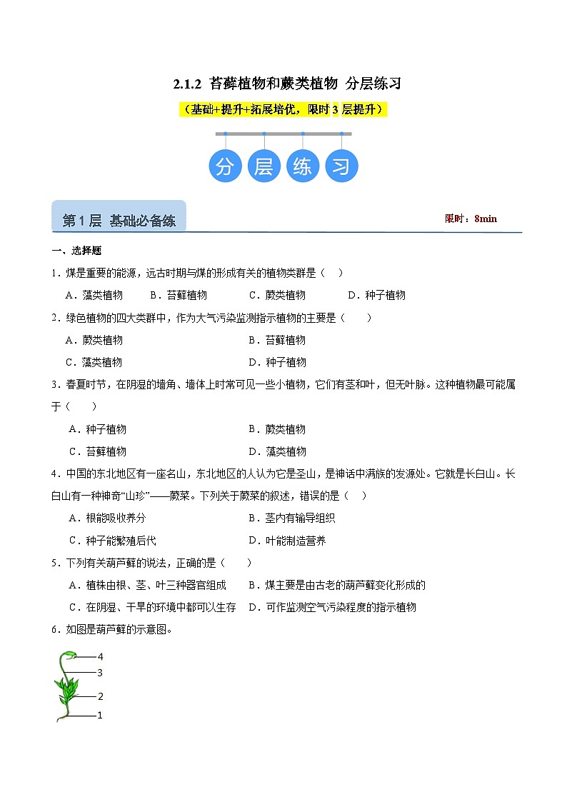 【核心素养】冀少版(2024)生物七年级上册 2.1.2 植物(一、苔藓植物和蕨类植物) 同步课件+同步练习01