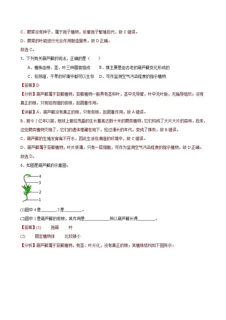 【核心素养】冀少版(2024)生物七年级上册 2.1.2 植物(一、苔藓植物和蕨类植物) 同步课件+同步练习03