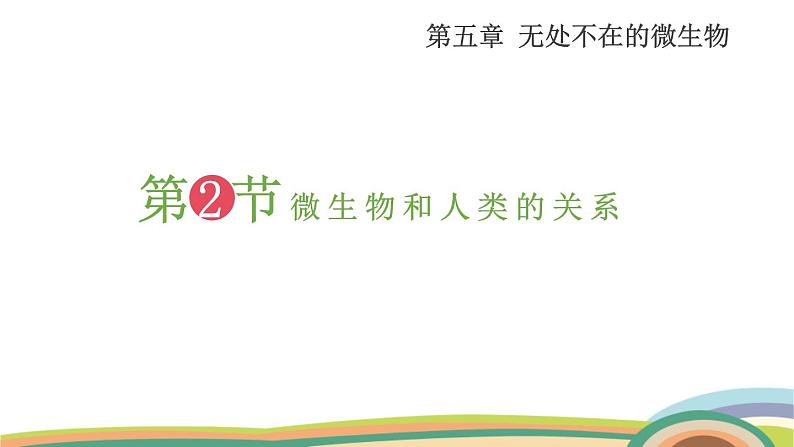 苏教版(2024)七年级生物上册课件 2.5.2 微生物和人类的关系第2页