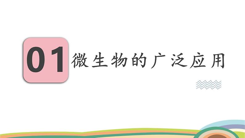 苏教版(2024)七年级生物上册课件 2.5.2 微生物和人类的关系第4页