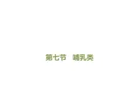 魯科五四版八年級上冊 7.1.7 哺乳類 課件