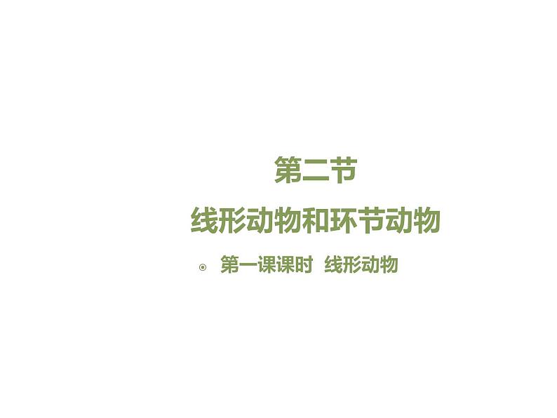 鲁科五四版八年级上册 7.1.2 线形动物和环节动物(第1课时) 课件01