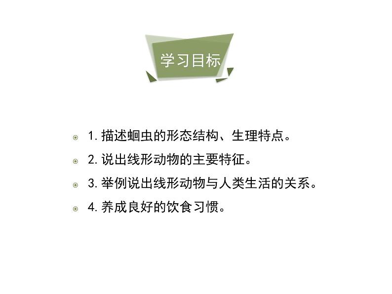 鲁科五四版八年级上册 7.1.2 线形动物和环节动物(第1课时) 课件04