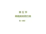 鲁科五四版八年级上册 7.1.5 两栖类和爬行类（第1课时） 课件