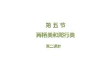 鲁科五四版八年级上册 7.1.5 两栖类和爬行类（第2课时） 课件