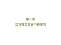 魯科五四版八年級上冊 7.3.1 動物在自然界中的作用 課件