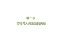 魯科五四版八年級上冊 7.3.2 動物與人類生活的關(guān)系 課件