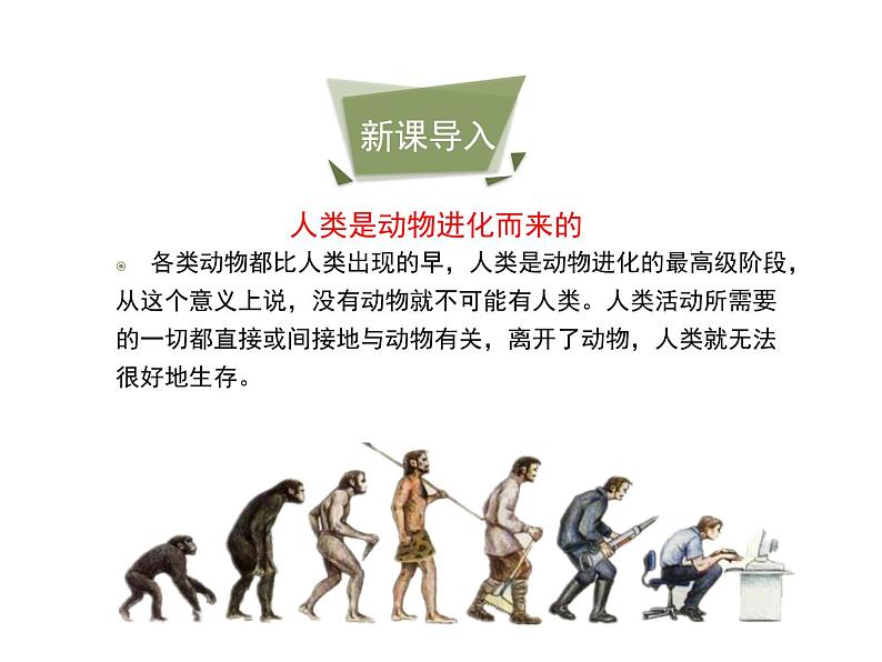 7.3.2 动物与人类生活的关系课件(30张)第3页