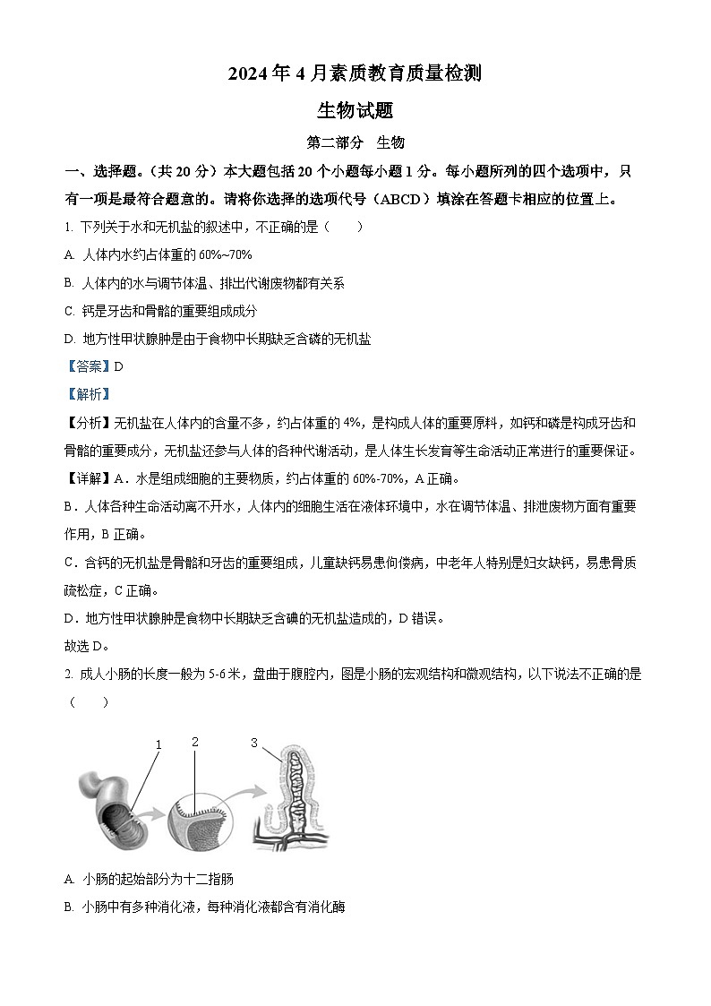 山东省菏泽市曹县2023-2024学年七年级下学期期中生物学试题(解析版)01