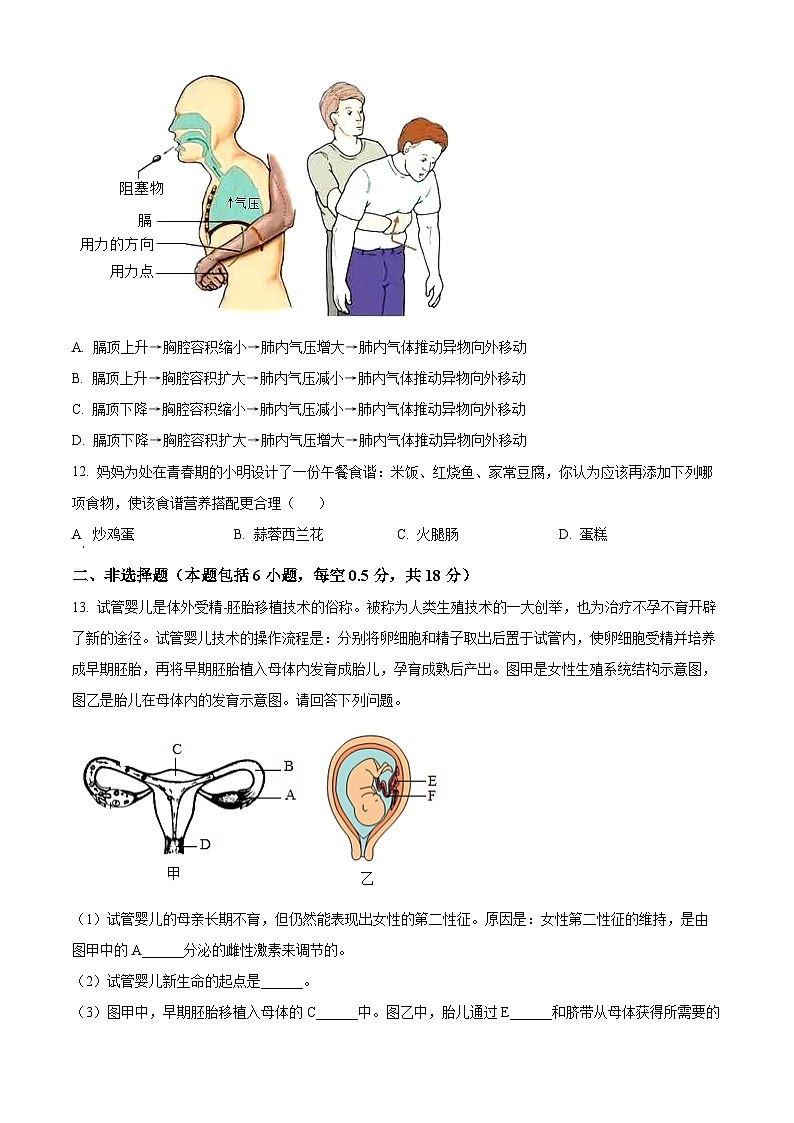 辽宁省沈阳市铁西区2023-2024学年七年级下学期期中生物学试题(原卷版)第3页