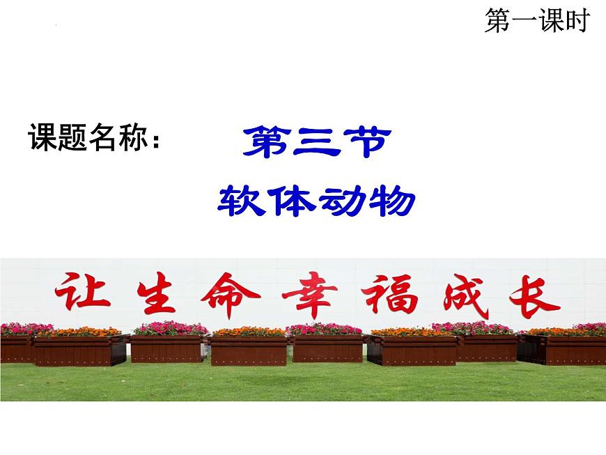 生物魯科五四版八年級上冊 7.1.3軟體動物和節(jié)肢動物 課件第1頁