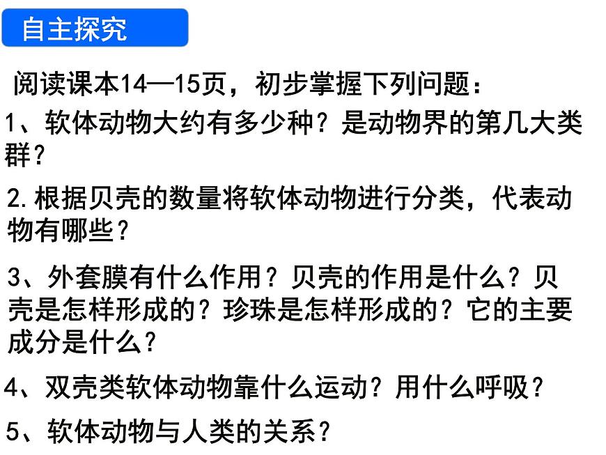 生物魯科五四版八年級上冊 7.1.3軟體動物和節(jié)肢動物 課件第3頁