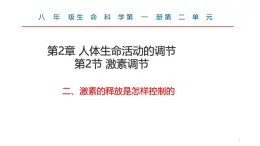 生物沪教版八年级上册 生命科学 2.2  激素的释放是怎样控制的 课件