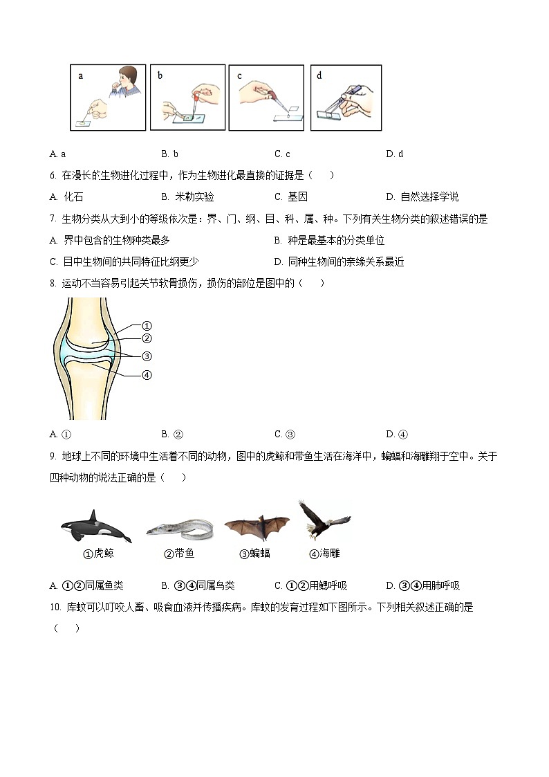 2024年辽宁省沈阳市和平区中考一模生物学试题(原卷版)02