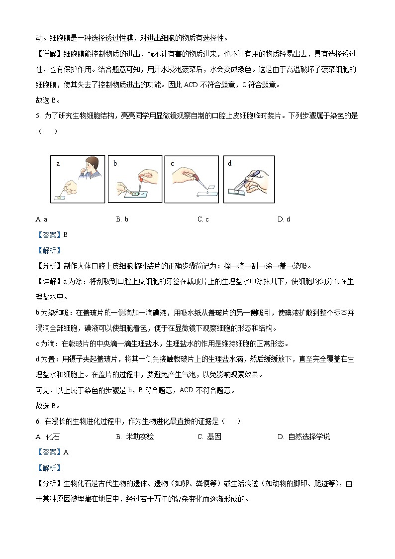 2024年辽宁省沈阳市和平区中考一模生物学试题(解析版)03