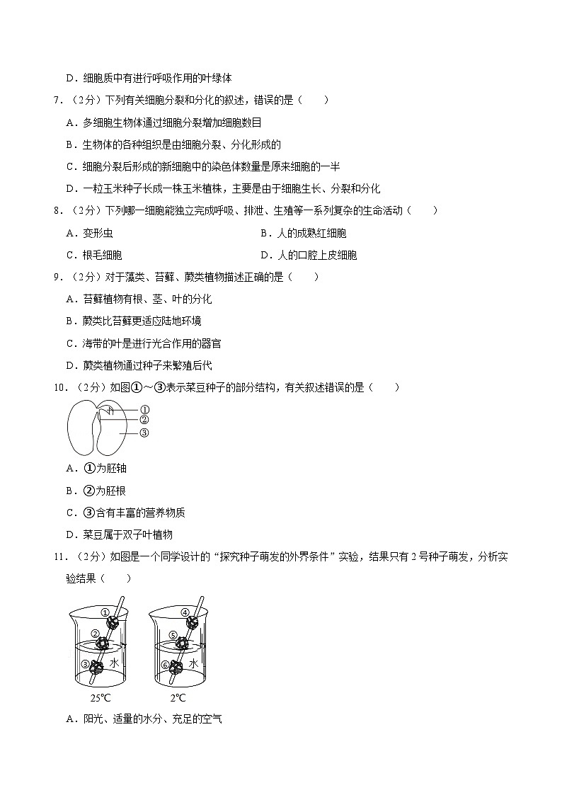 安徽省六安市舒城县仁峰学校2023-2024学年七年级上学期第四次1月份月考生物试卷+第2页