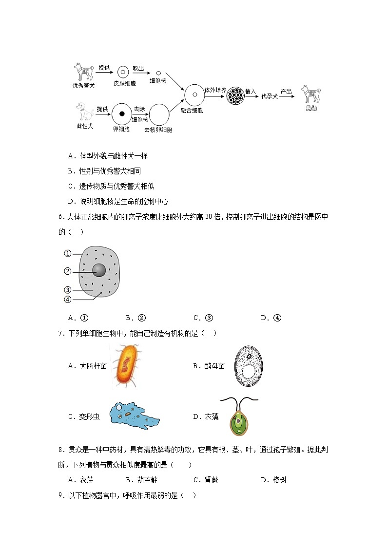 2024年甘肃省武威市凉州区中坝九年制学校联片教研二模生物试题(附答案解析)02