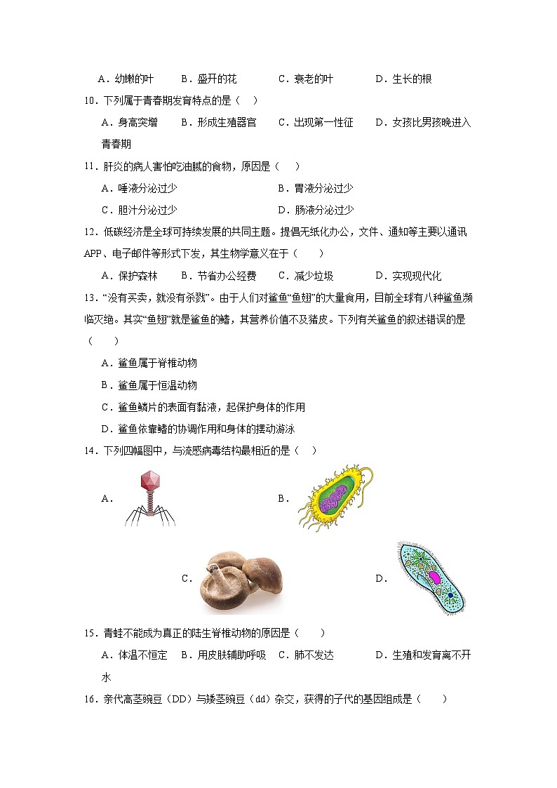 2024年甘肃省武威市凉州区中坝九年制学校联片教研二模生物试题(附答案解析)03