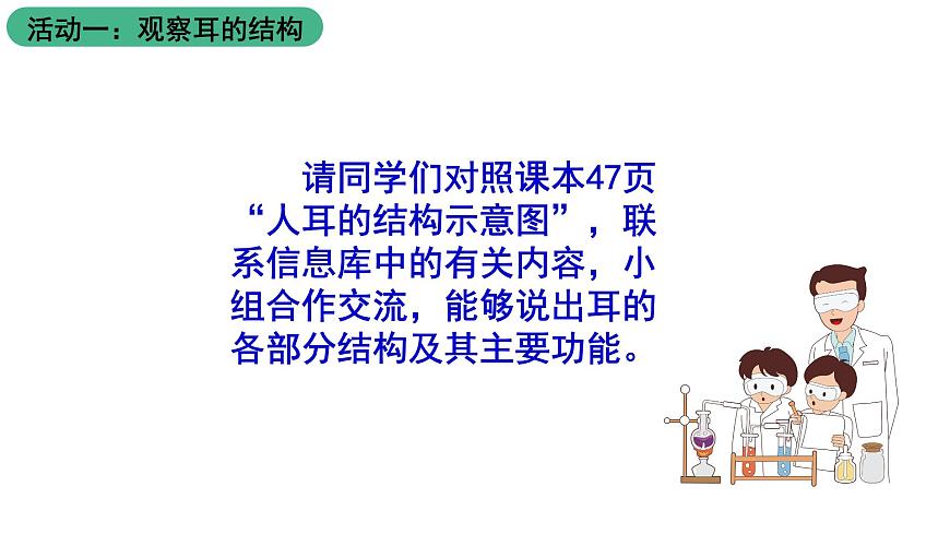 蘇科版八上生物 16.2《人體對信息的感知》課件第3頁