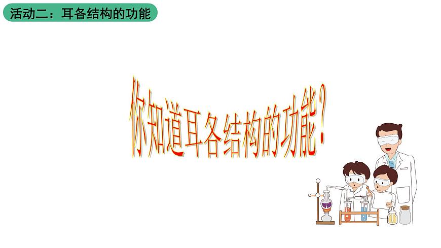 蘇科版八上生物 16.2《人體對信息的感知》課件第5頁