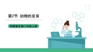 初中生物苏科版（2024）八年级上册第2节 	动物的发育公开课课件ppt