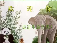 苏科版新课标七年级生物上册第一节生物与生物学PPT课件（含视频）