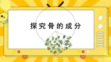 北京版生物八年级上册 9.1 动物的运动 课件