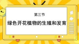 北京版生物八年级上册 10.3 花的结构和双受精 课件