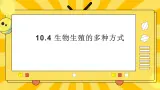 北京版生物八年级上册 10.4 生物生殖的多种方式  课件