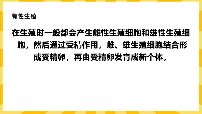 北京版生物八年级上册 10.4 生物生殖的多种方式 课件04