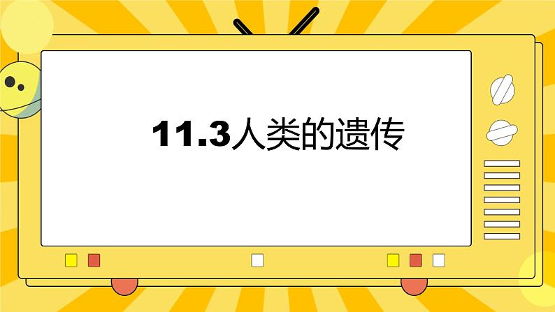 北京版生物八年级上册 11.3人类的遗传 课件01