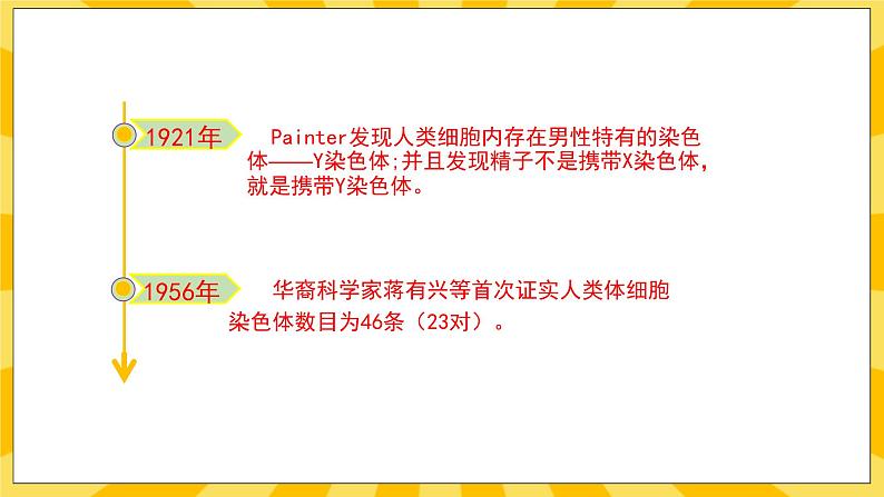 北京版生物八年级上册 11.3人类的遗传 课件04