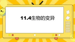 北京版生物八年级上册 11.4生物的变异  课件