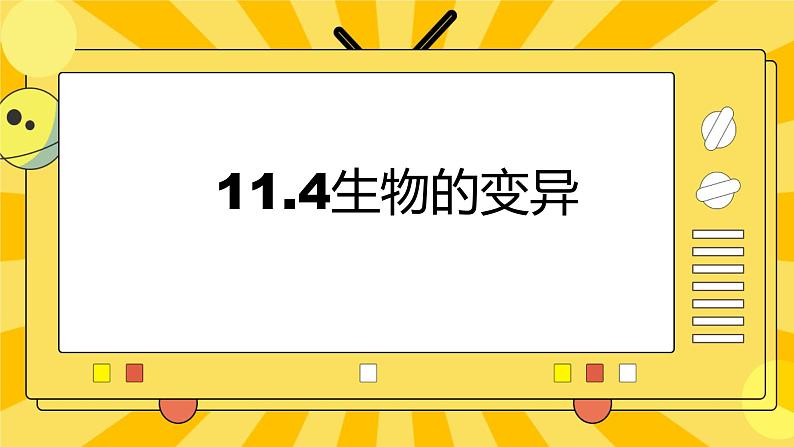 北京版生物八年级上册 11.4生物的变异 课件01