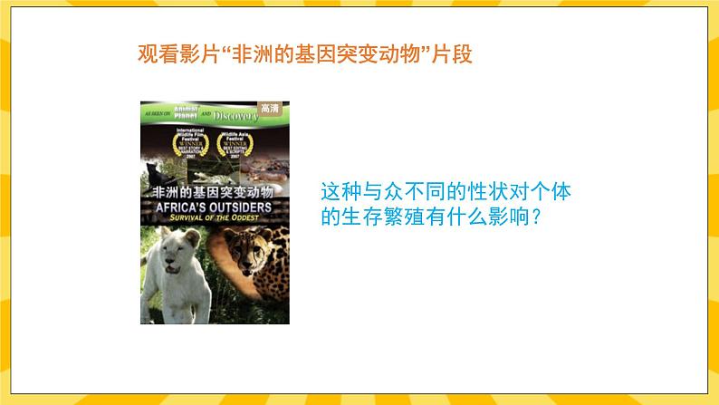 北京版生物八年级上册 11.4生物的变异 课件04