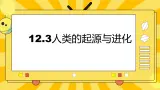 北京版生物八年级上册 12.2人类的起源与进化 课件